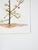 Early 21st century watercolor on paper painting of a sparse Christmas tree with a single red ball ornament. Signed P Speer...