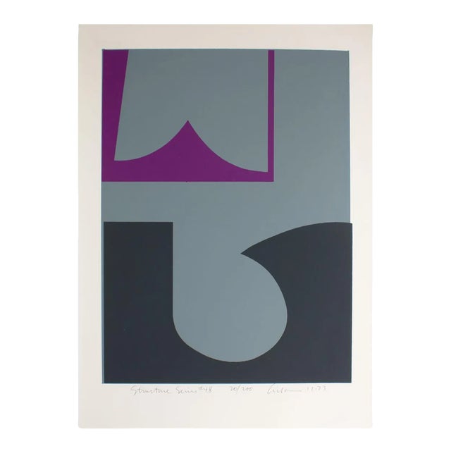 1973 “Structure Series #48” Abstract Serigraph Print by Harry Hilson For Sale