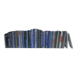Decorative Books - Vintage Petite Denim Books - Blue Books By The Foot For Sale