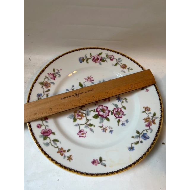 Limoges, France Pair of Vintage Indian Bird Haviland Porcelain Plates For Sale - Image 4 of 13