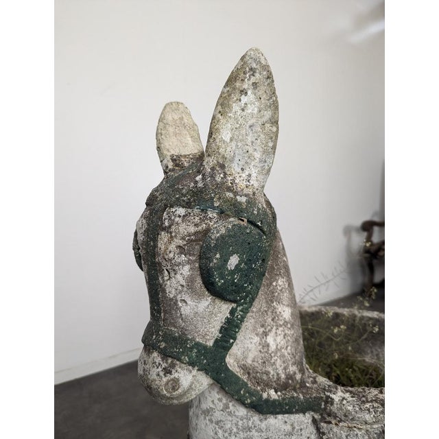 Cement Donkey Garden Decoration For Sale - Image 8 of 10