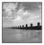 Paul Cooklin, Seagulls on Sea Groynes, Edition of 50 For Sale