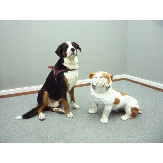 Mid-Century Earthenware English Bulldog, 1960s For Sale - Image 9 of 10