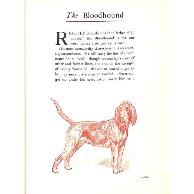 "Hounds" 1934 Lloyd, T. Ivester For Sale - Image 9 of 10