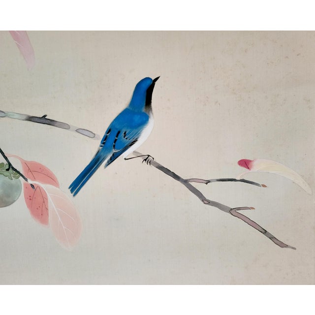 Japanese Japanese Hanging Scroll by Mori Shumei “Bird and Persimmon Tree” – Kakemono of Late Meiji – Early Showa Period With Wood Storage Box For Sale - Image 3 of 7