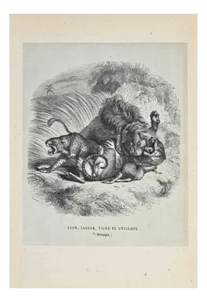 Paul Gervais, The Lion, Jaguar, Tiger, Lithograph, 1854