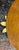Brown Mid Century Italian Gilt Wood and Birds Eye Maple Side Table For Sale - Image 8 of 11