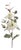 Magnolia Floral Spray (Set of 2) For Sale