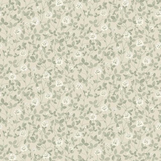 Sample - Boråstapeter Klöver Wallcovering In Sage For Sale