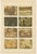 Dr. Gustav Adolph Kenngott, Mineralogy Marble, Aragonite & Fluorite, 1888, Chromolithographs, Set of 3 For Sale - Image 4 of 12