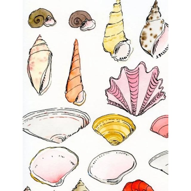 Illustration "Colorful Shell Collection" Lia Burke Libaire Contemporary Giclee Print For Sale - Image 3 of 4