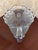 Victorian Antique Westmoreland Shell and Jewel Pressed Glass Pitcher 8" Tall For Sale - Image 3 of 6
