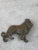 English C.1950 Petite English Brass Dog Collie For Sale - Image 3 of 5