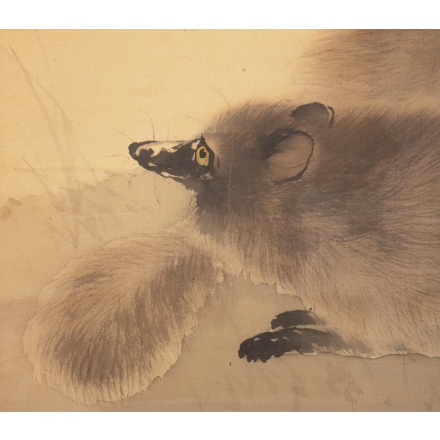 "Raccoons Under the Moon" by Mochizuki Seiho, Miji Japanese Silk Scroll Painting For Sale In Dallas - Image 6 of 18