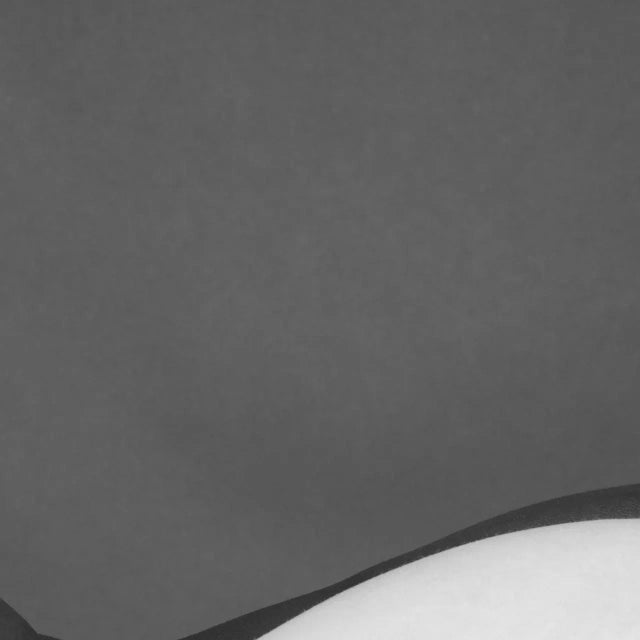 Franck Leclerc, Black & White, 21st Century, Photographic Print For Sale - Image 4 of 5