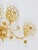 Large Gilt Brass & Crystals Flower Wall Light from Palwa, 1970s For Sale - Image 13 of 15