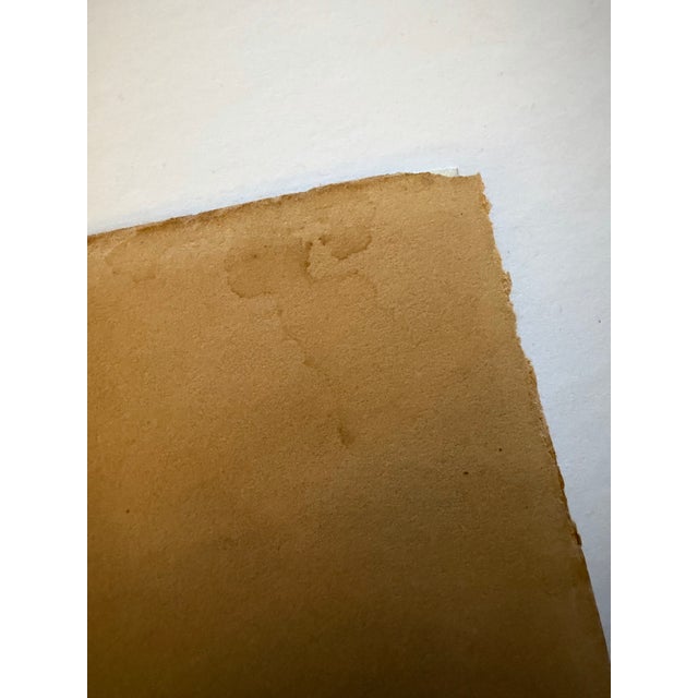 Original 16th/17th Century Watercolor Painting by Aniello Ascione For Sale In Boston - Image 6 of 12