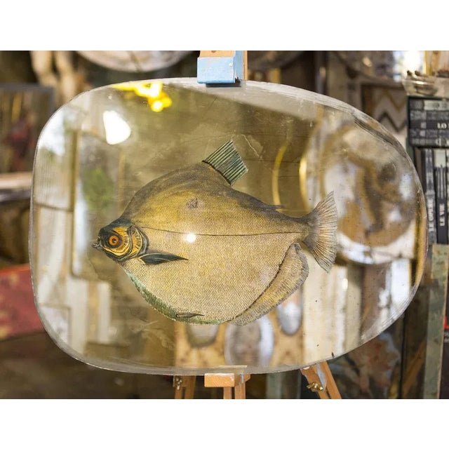 Unique art mirror made in Rome as it was a thousand years ago. These portholes are a dream, that of being able to...