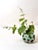 Bohemian Emerald Green Lead Crystal Vase with Hand-Cut Faceted Decorations, 1960s For Sale - Image 12 of 14