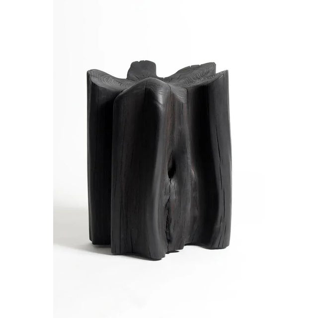 Burned Chunk by Jesse Sanderson For Sale - Image 4 of 6