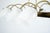 Mid-Century Modern Mid-Century Modern Reticello Glass Chandelier from Venini, Italy, 1940s For Sale - Image 3 of 18