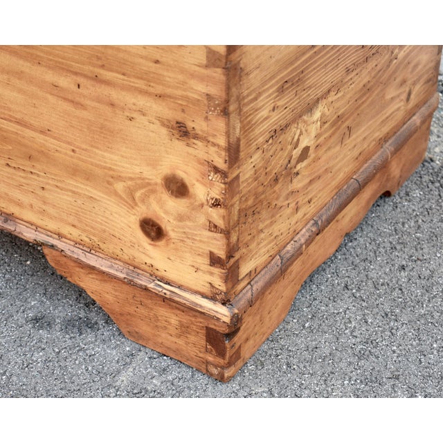 Brown Pine Trunk or Blanket Chest, Netherlands For Sale - Image 8 of 12
