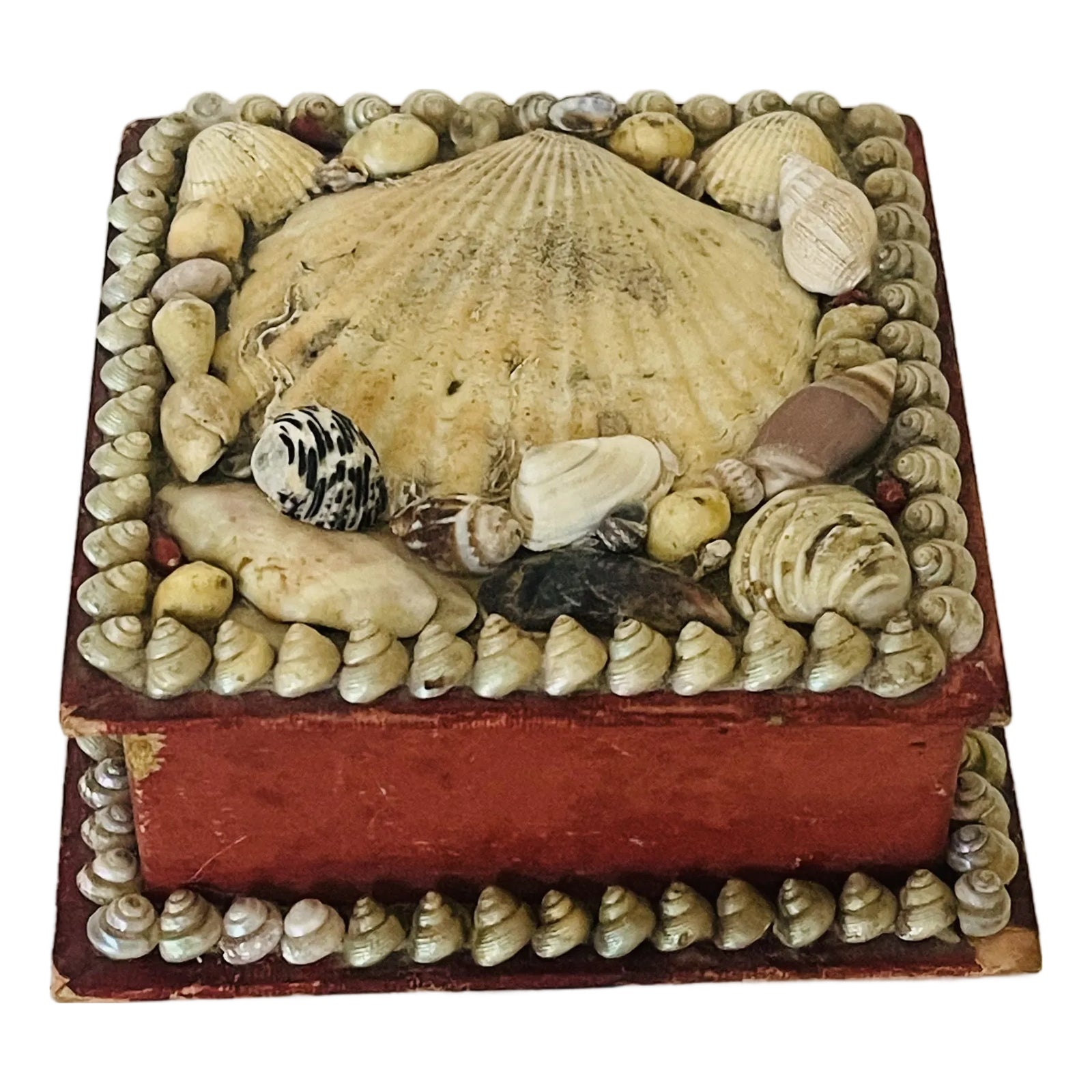 Antique British Colonial Sea Shell Sailors Valentines Box | Chairish