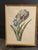 Circle of Georg Dionysius Ehret Iris Watercolor, Mid-18th Century For Sale - Image 11 of 11