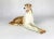 Art Deco Czechoslovakian Borzoi Greyhound Statue in Porcelain from Royal Dux Bohemia, 1960s For Sale - Image 4 of 9