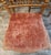 19th C. Faux Bamboo & Cane Ballroom Chairs - Set of 6 For Sale - Image 15 of 18