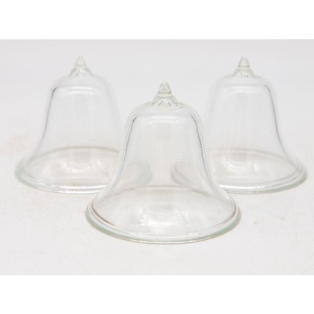 Set of 3 Glass Garden Cloches, English Mid 20th C. For Sale In New York - Image 6 of 8