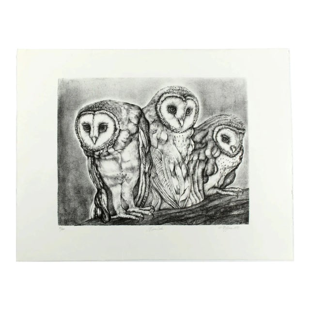 "Barn Owls" Lithograph by Christine McGinnis, Printed by David Lynch, 1978 For Sale
