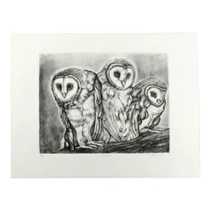 "Barn Owls" Lithograph by Christine McGinnis, Printed by David Lynch, 1978