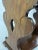 Vintage 1930s Mahogany Magazine & Bookstand - Jacobean/Victorian-Revival Period For Sale - Image 10 of 15