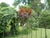 American Late 18th Century Antique Wrought Iron Gate For Sale - Image 3 of 10
