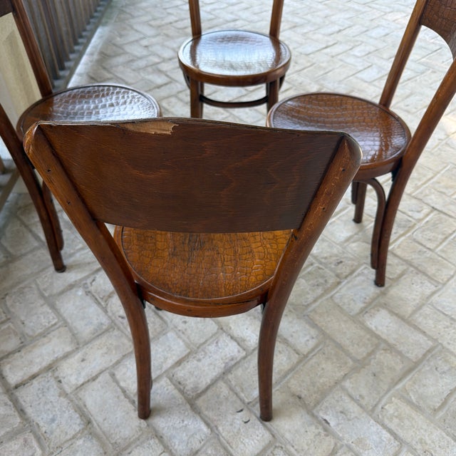 Brown Set of 4 Antique Mundus/Attributed to Thonet Bentwood Bistro Chairs With Crocodile Pattern For Sale - Image 8 of 12