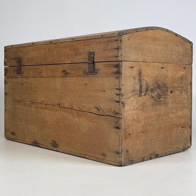 Brown 19th Century English Rustic Pine Dome-Top Storage Trunk For Sale - Image 8 of 12