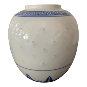 Mid 20th Century Blue and White Ceramic Tienshan China Vase
