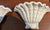 Art Deco Serge Roche Style Rococo Plaster Sea Shell Wall Light Sconces - A Pair For Sale - Image 3 of 12