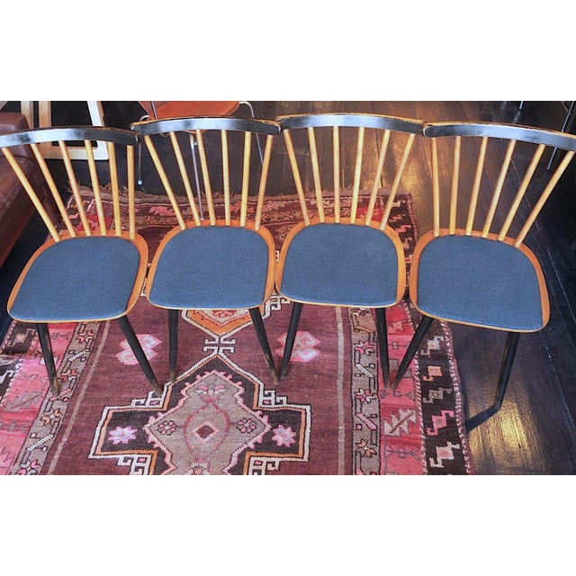 Mid-Century Dining Chairs with Splayed Legs and Navy Blue Seats, Set of 4 For Sale - Image 11 of 12