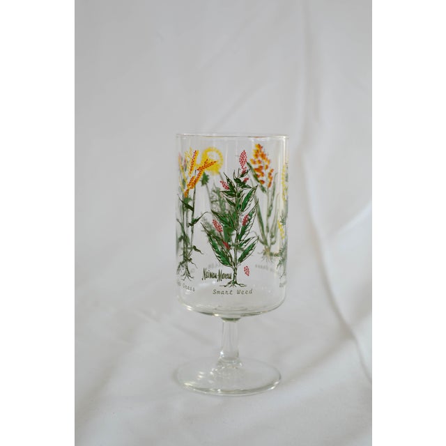 Transparent Vintage Neiman Marcus “Weed & Wildflower” Botanical Stem Glasses - Set of 6 For Sale - Image 8 of 13