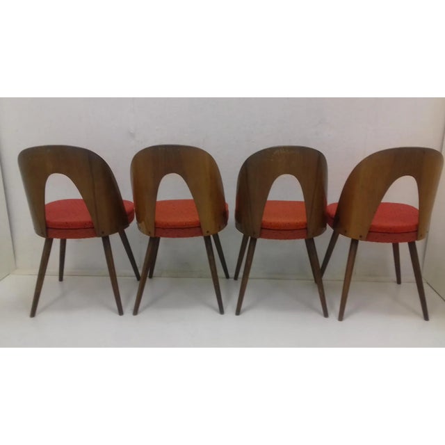 Dining Chairs by Antonín Šuman, 1960s, Set of 4 For Sale - Image 6 of 11