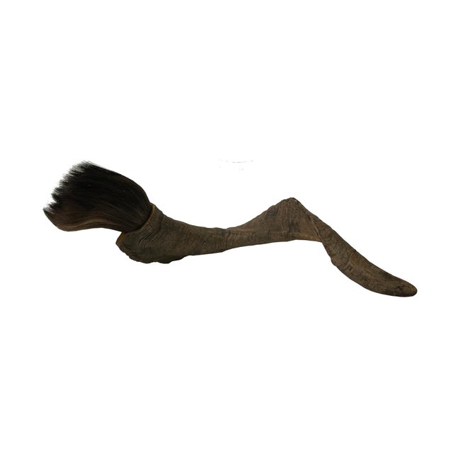 Rustic 19" Rustic Natural Artistic Horn Shape Brush Accent Display For Sale - Image 3 of 9