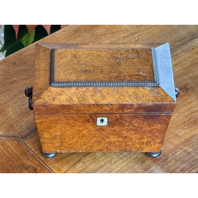 19th Century 19th Century Small Burl Walnut Tea Caddy For Sale - Image 5 of 7