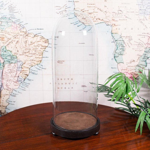 This is a tall Victorian antique specimen showcase. An English, glass and ebonised mahogany taxidermy dome, dating to the...
