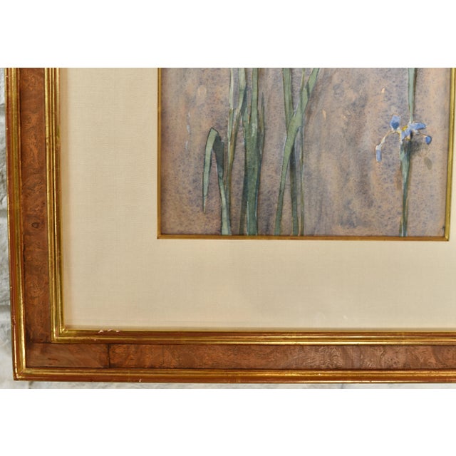 Original Vintage Thomas Daly Iris Flower Watercolor Painting For Sale In Tampa - Image 6 of 13