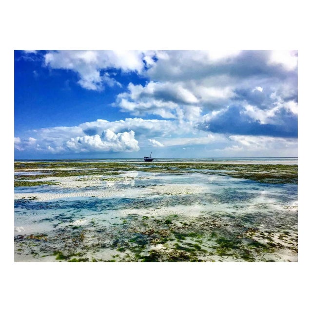 Cindi Emond, Climate Change, Photograph, 2017 For Sale