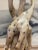 Vintage Hand-Carved Giraffe Wooden Sculpture For Sale - Image 4 of 8