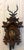 Antique Black Forest Carved Walnut Cuckoo Clock, 1900 For Sale - Image 4 of 13
