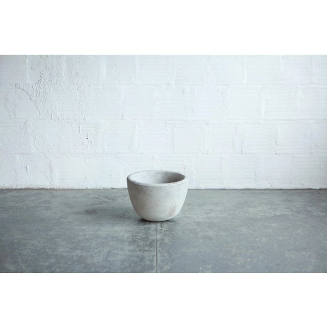 Brutalist Baby Bear Planter For Sale - Image 3 of 4